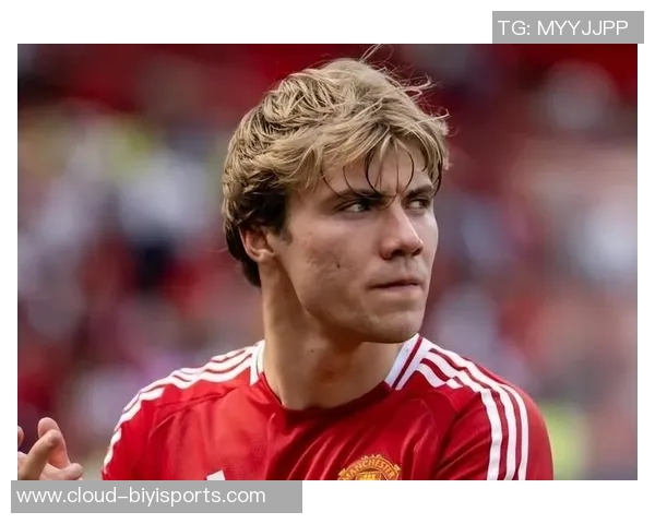 霍伊伦的传奇人生与时代变迁的交织探索